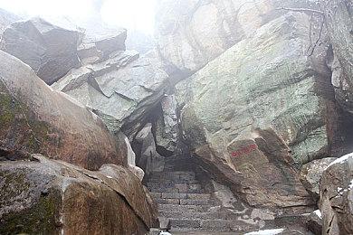 宫喵相伴，畅游故宫！休闲放置收集游戏《喵喵宫廷》试玩Demo上线