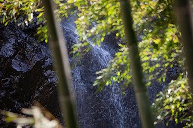 25科隆游戏展汇总：游科新作＆生化危机领衔！